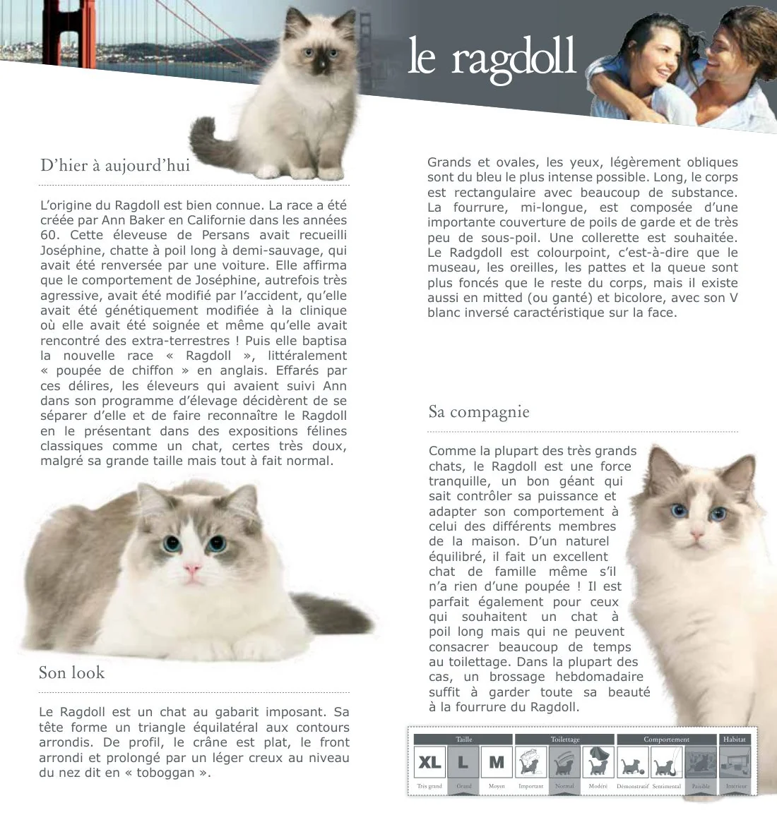 Fiche de race Ragdoll du LOOF, page 2