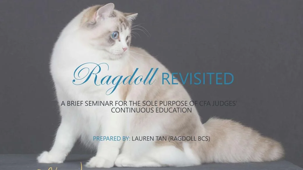 Ragdoll Revisited (CFA), diapositive 1