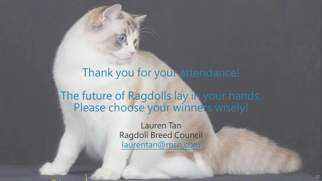 Ragdoll Revisited (CFA), diapositive 12